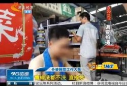 外卖小哥海洋最新爆料,外卖行业背后的真实故事