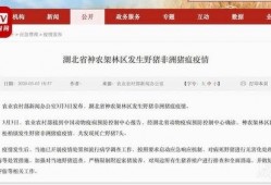 湖北爆料最新新闻消息,聚焦突发事件追踪与影响