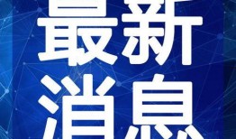 爆料车麻子视频大全最新,最新视频大全深度解析